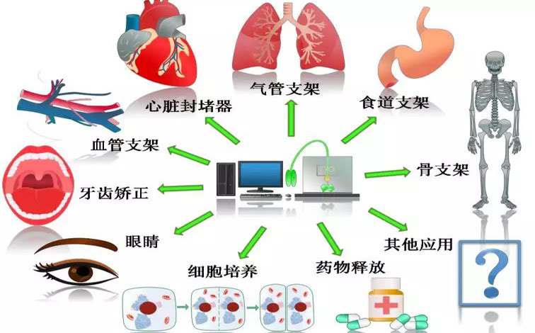 4D 打印形狀記憶聚合物在生物醫(yī)療領(lǐng)域的研究進展